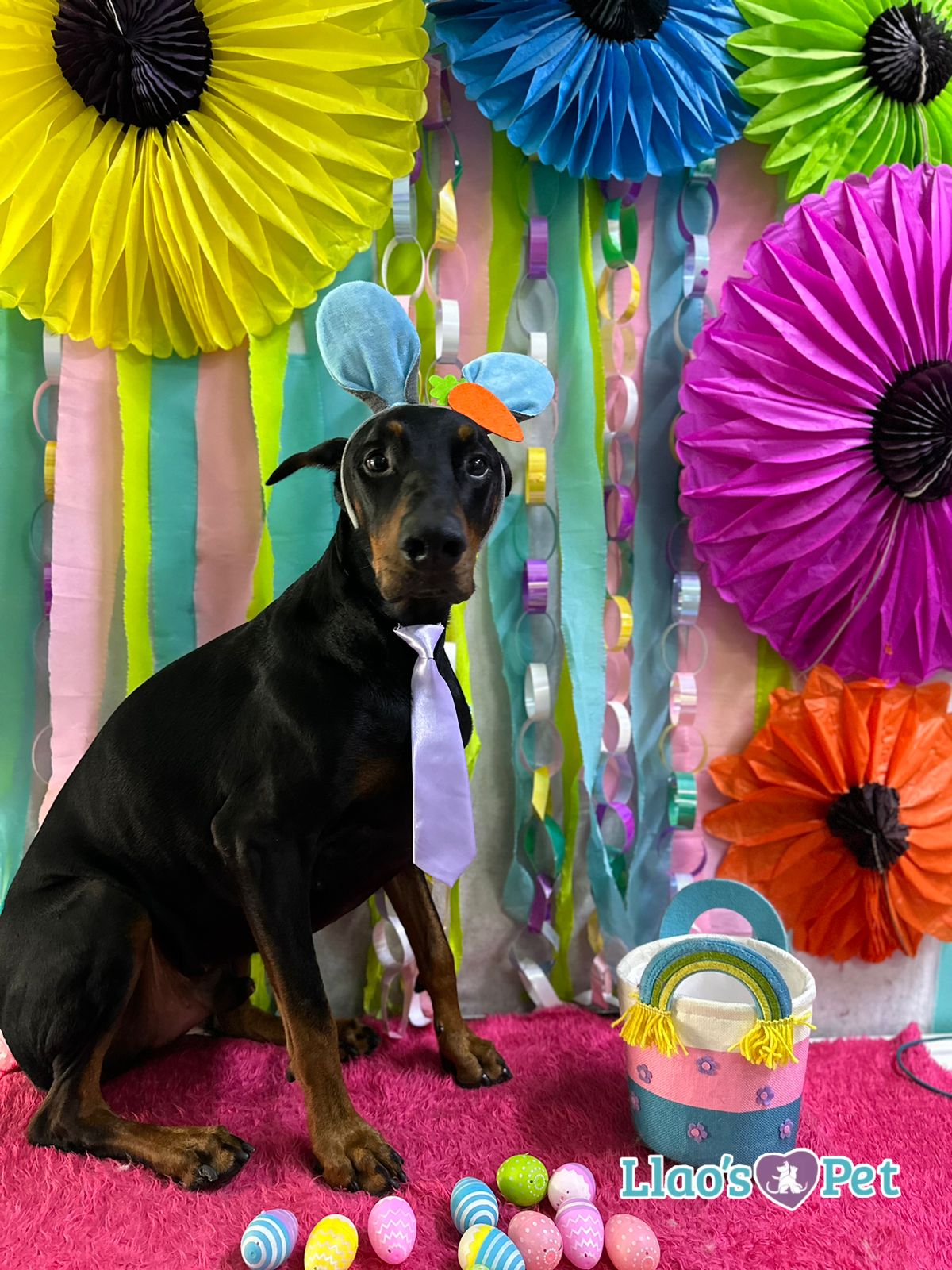 1_SpaDeluxMelenitaCorta