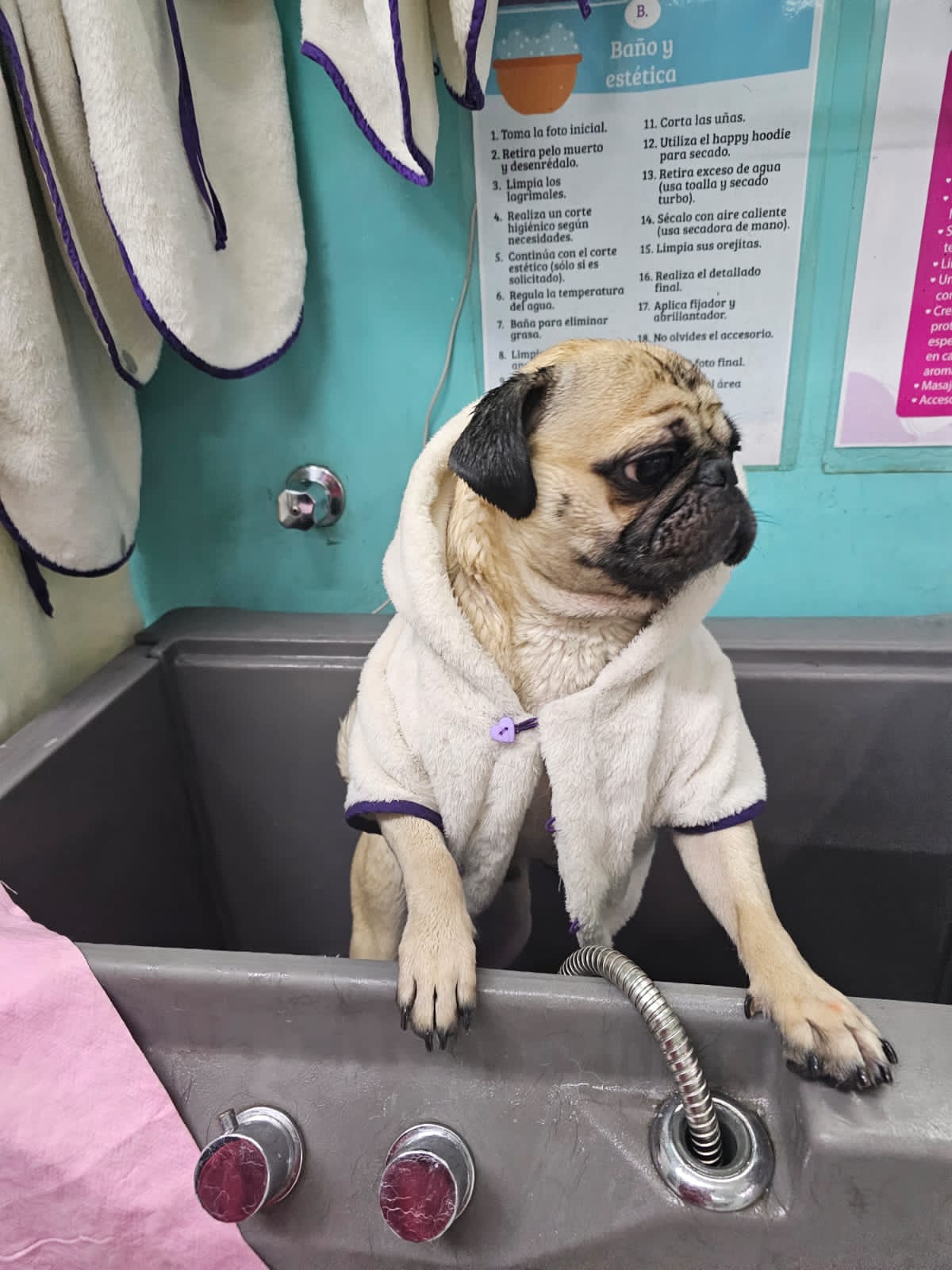 1_SpaDeluxMelenitaCorta