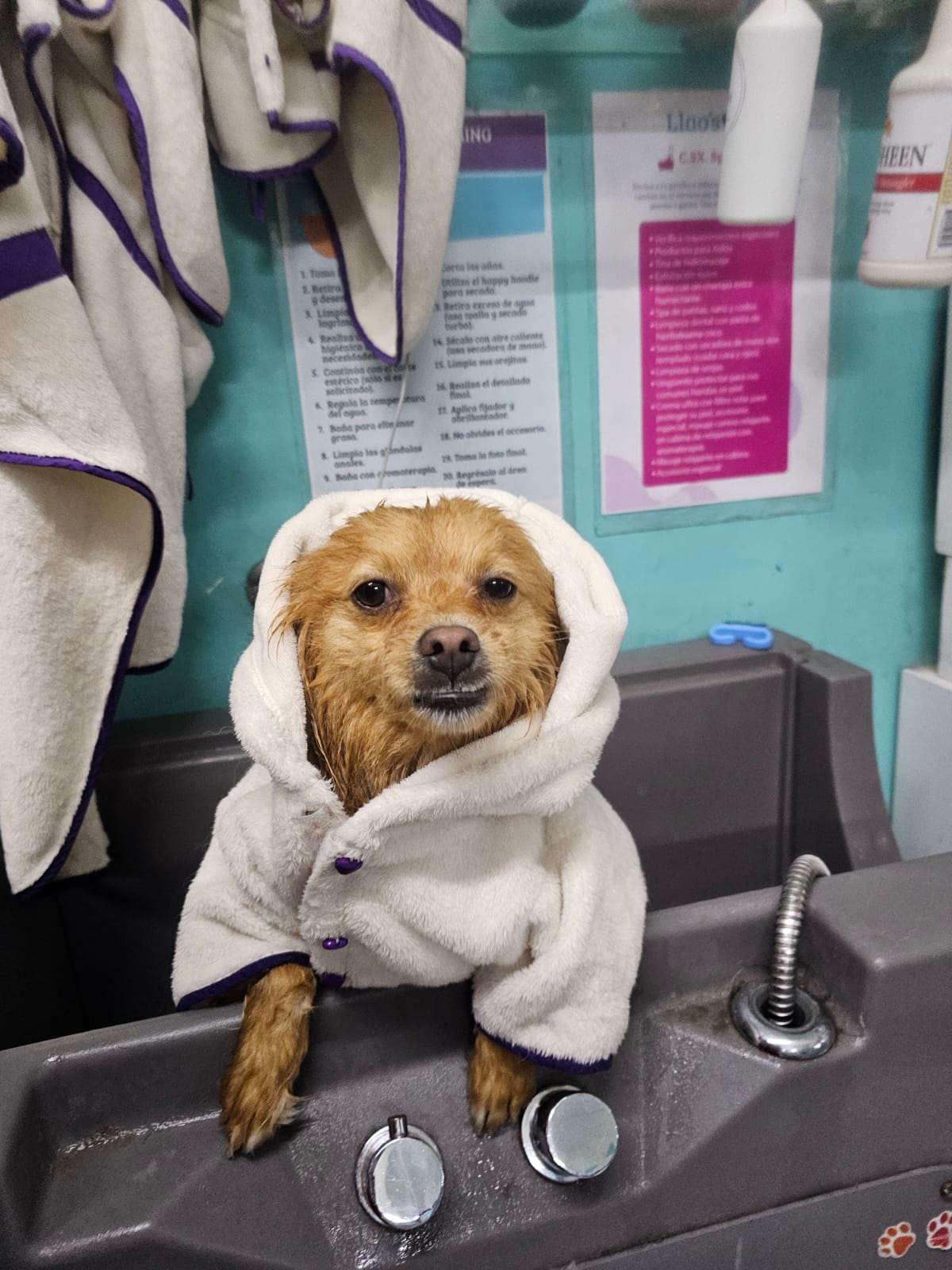 2_SpaDeluxMelenitaLarga