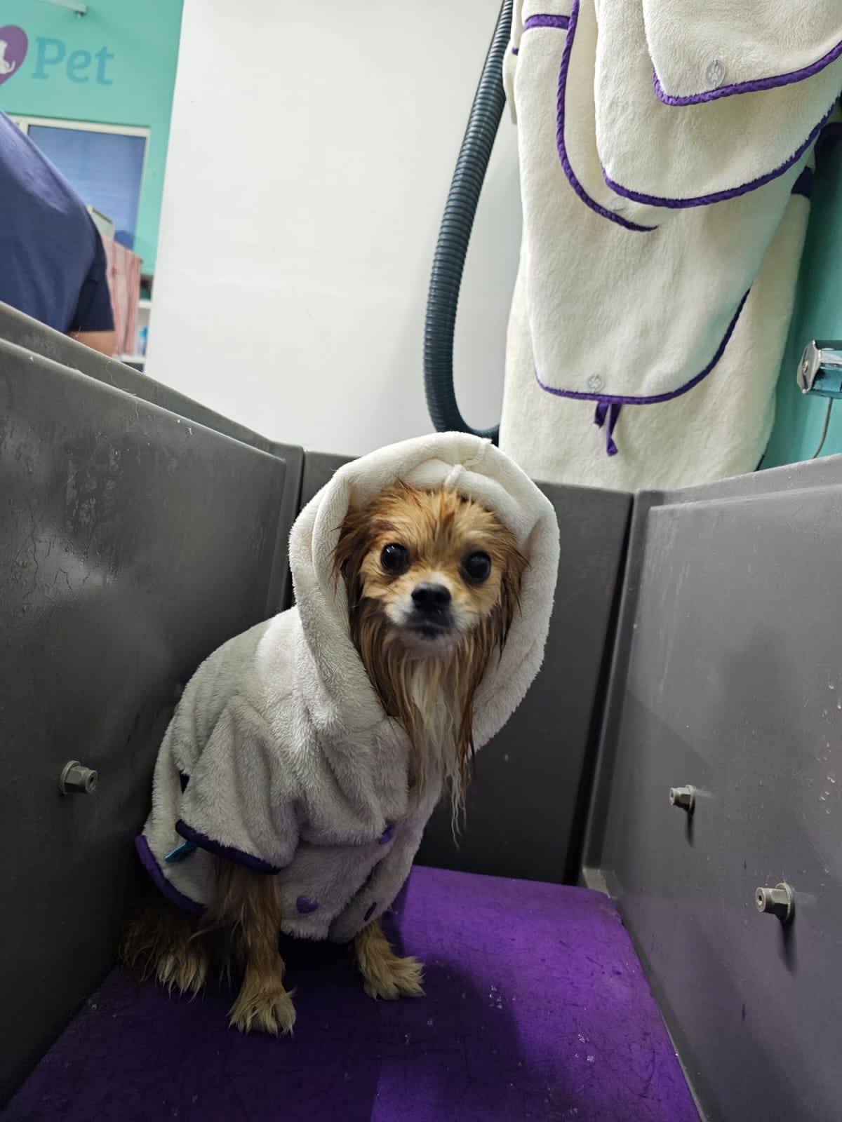 2_SpaDeluxMelenitaLarga