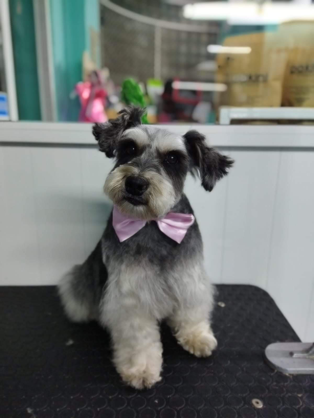 2_SpaDeluxMelenitaLarga