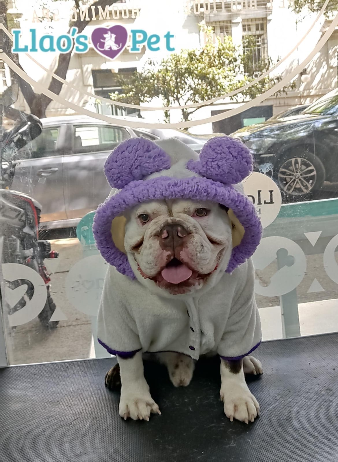 4_SpaCoquetoMelenitaCorta