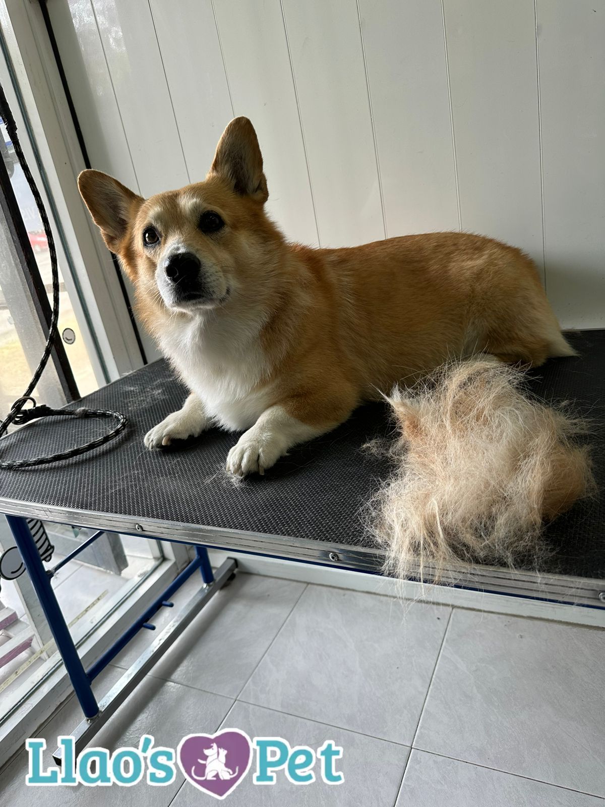 4_SpaCoquetoMelenitaCorta