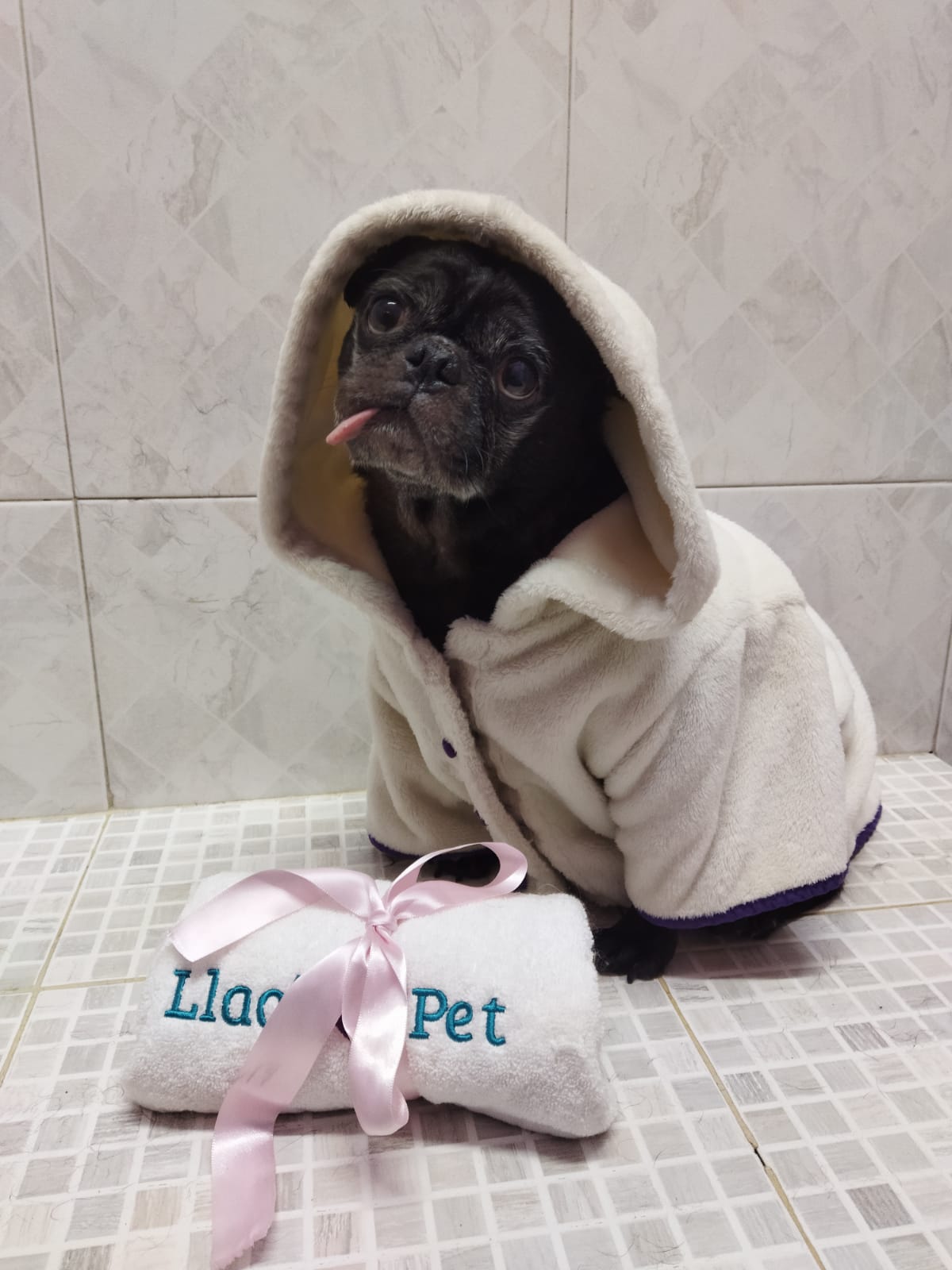 4_SpaCoquetoMelenitaCorta