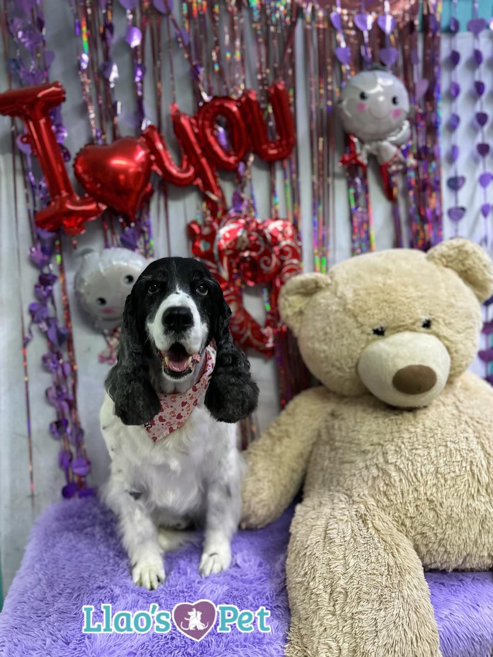 5_SpaCoquetoMelenitaLarga