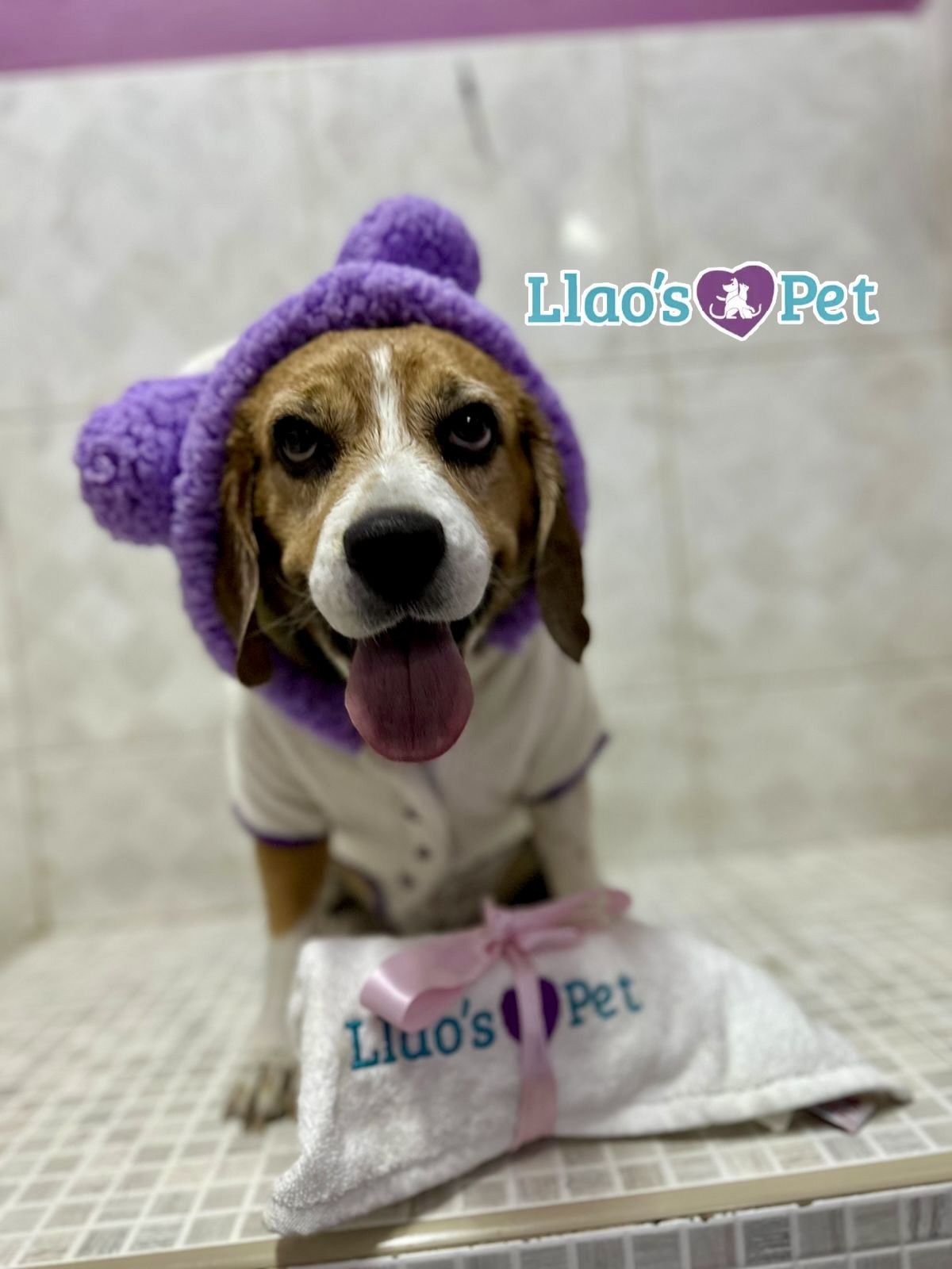 SpaCoquetoMelenitaCorta